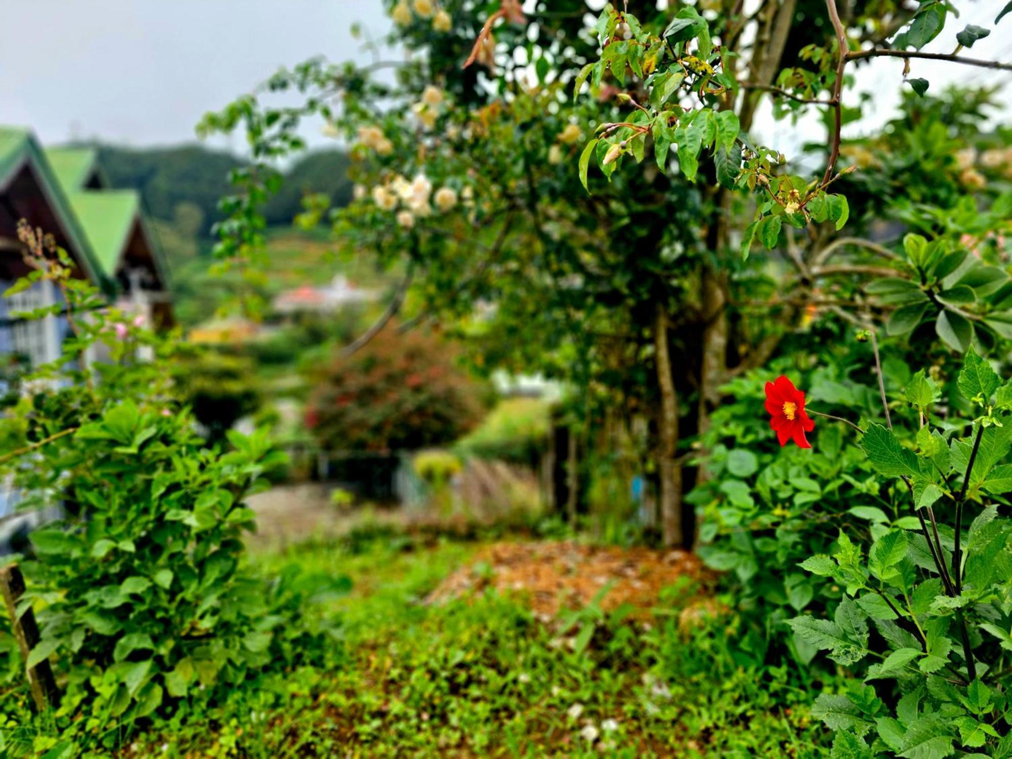 Haven backpackers Hostel Nuwara Eliya Buitenkant foto