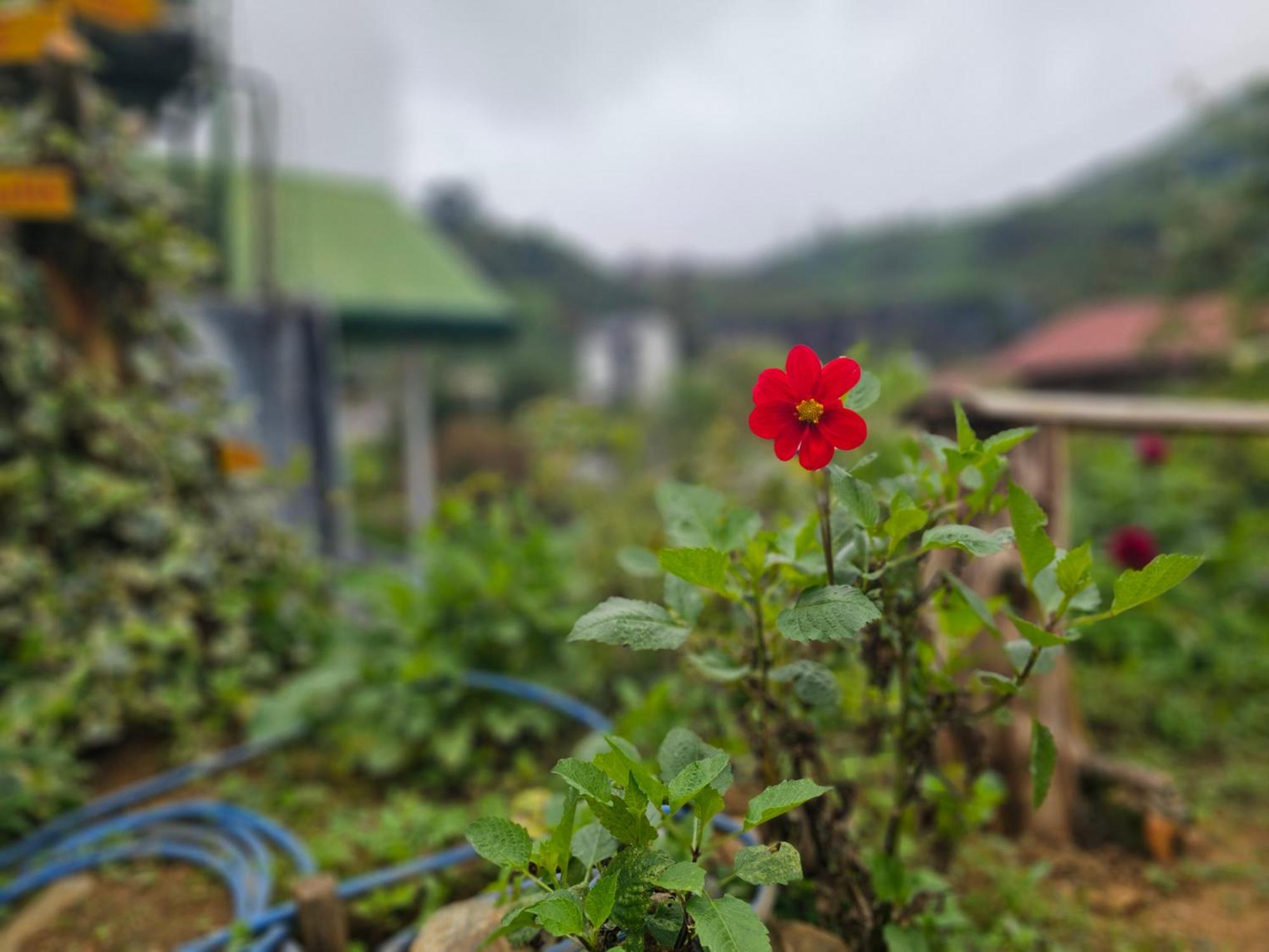 Haven backpackers Hostel Nuwara Eliya Buitenkant foto