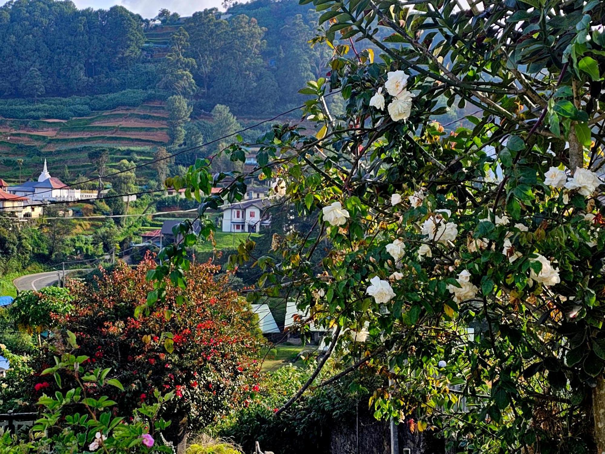 Haven backpackers Hostel Nuwara Eliya Buitenkant foto